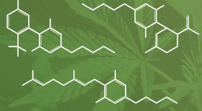 What are cannabinoids